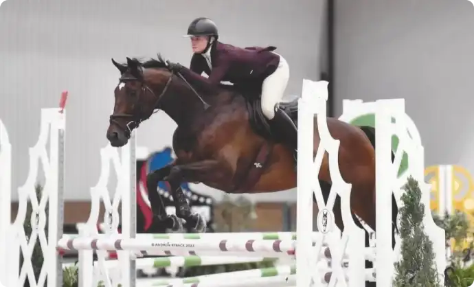 Lesley Cox Equestrian
