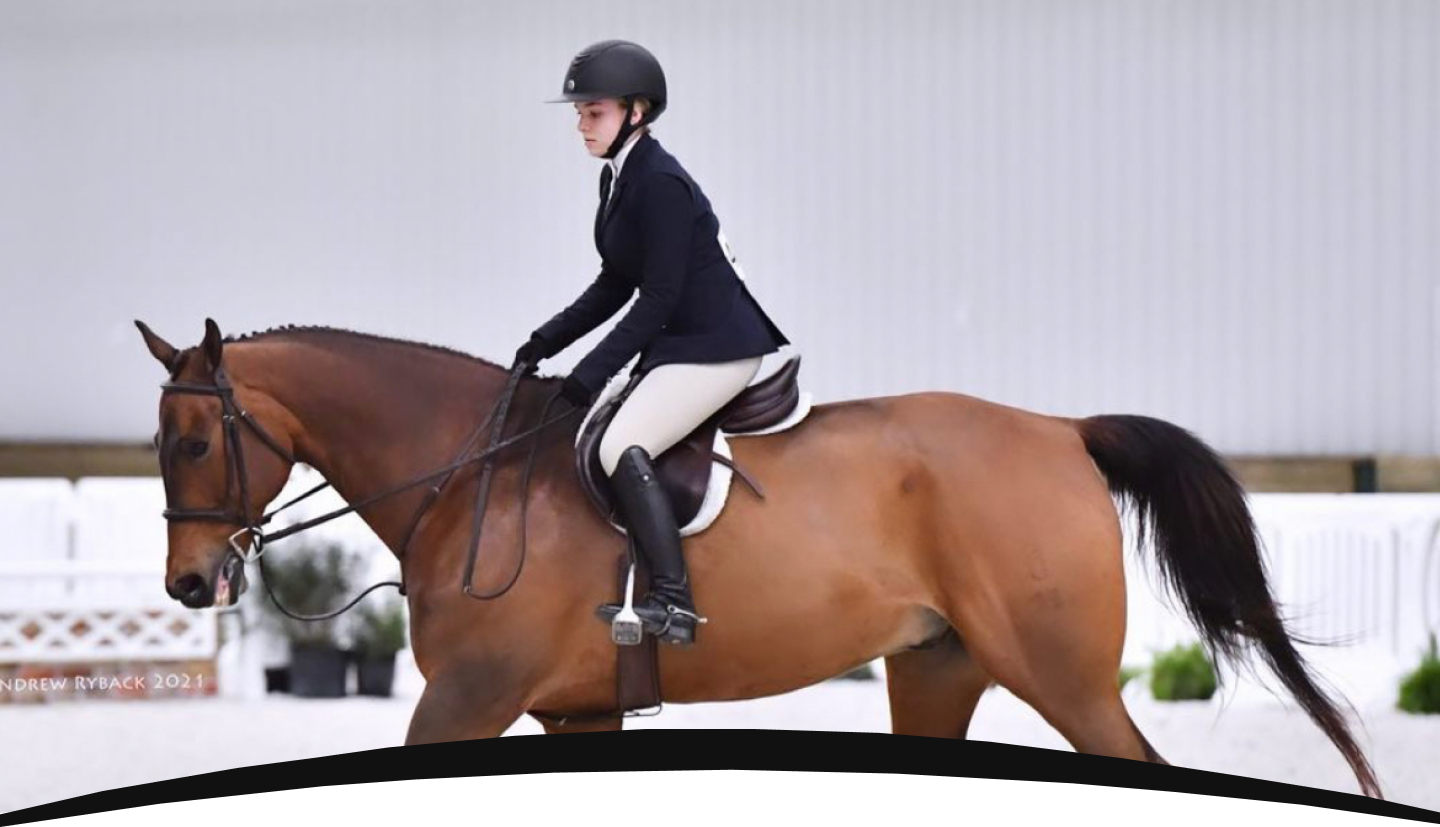 Lesley Cox Equestrian