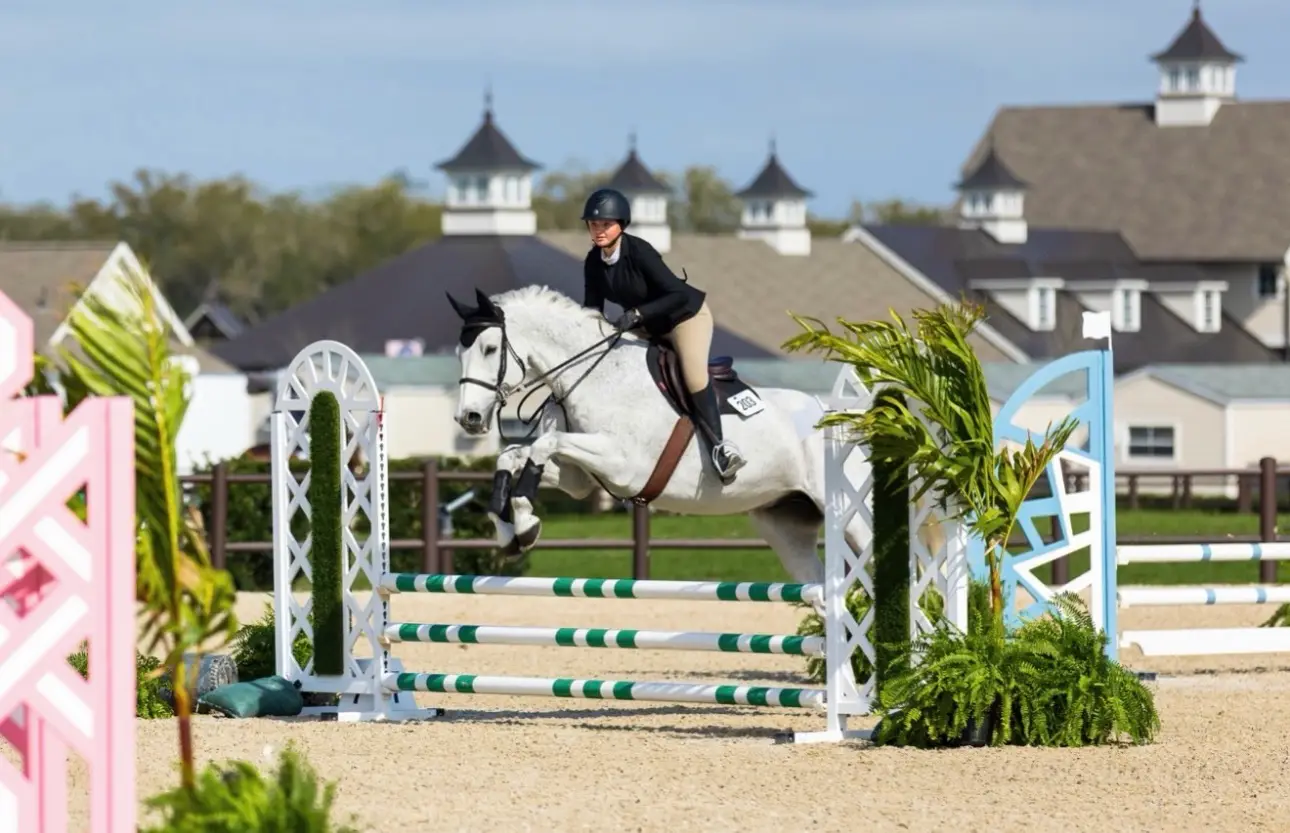 Horse Training