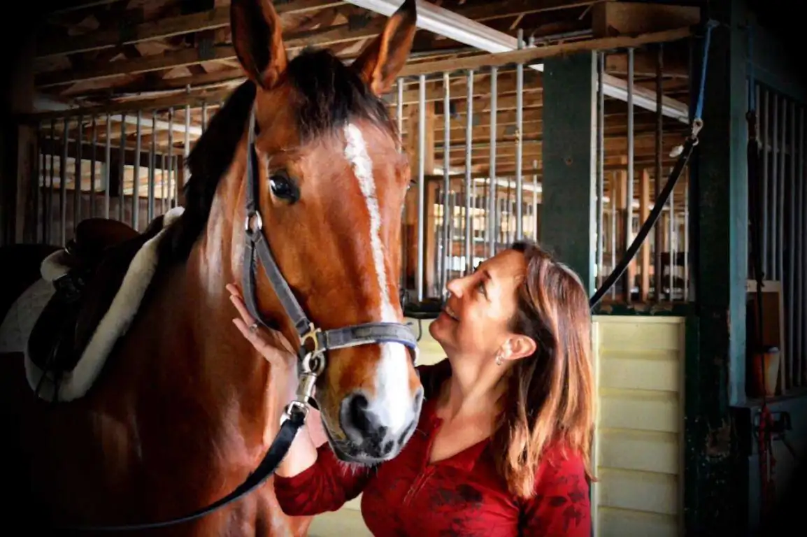 Slow Down for Better Horse Training